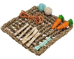 Beeztees Knaagdieren Speelmat