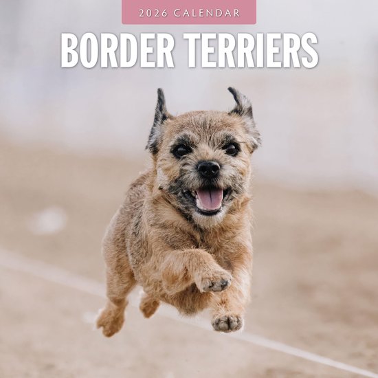 Calendrier Border Terrier 2026