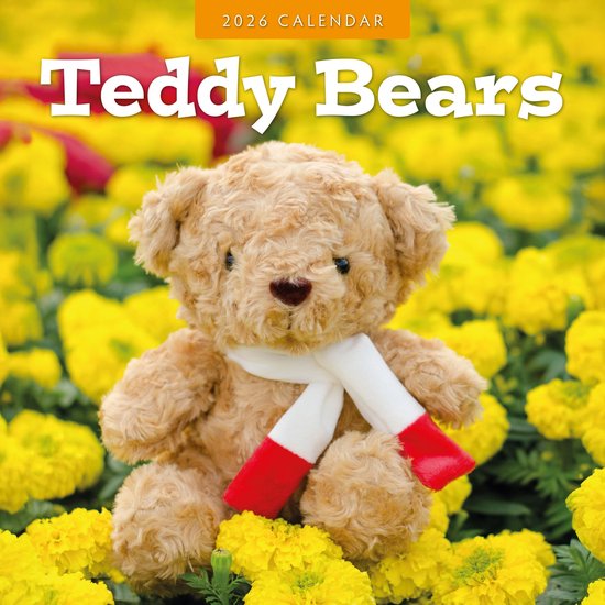 Teddy Bears Kalender 2026 Bol