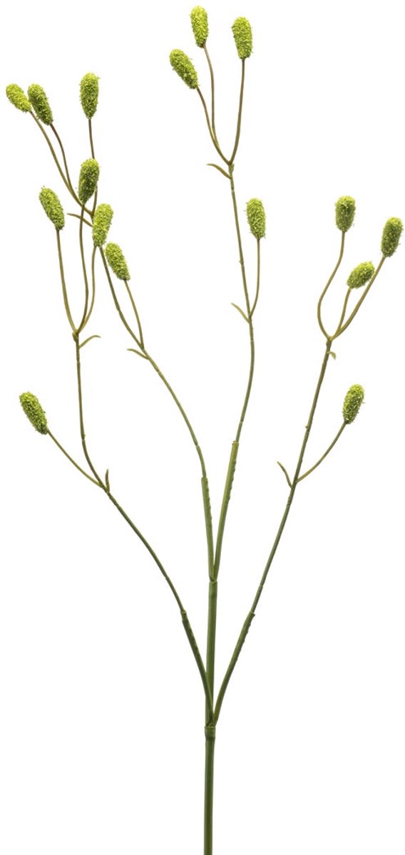 Emerald Kunstbloem Bloedkruid 78cm groen - Kunstplant voor binnen