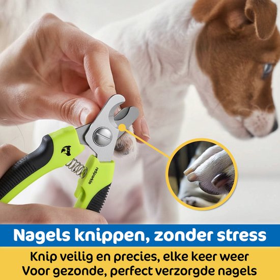 Handen knippen de nagels van een hond met een gele nagelknipper. Een detail van de nagels. Tekst: Nagels knippen, zonder stress, knip veilig en precies.