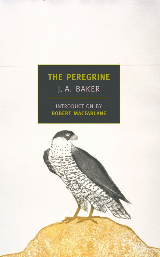 ISBN The Peregrine, biographie, Anglais, Livre broché, 208 pages