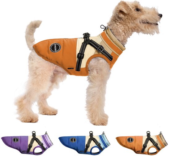 Een voskleurige terriër draagt een oranje-beige jas met klittenbandsluiting en reflecterende details. Kleuren: paars, blauw, oranje.