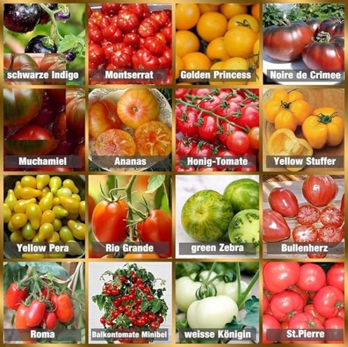 Tomatenzaadset met 16 verschillende soorten - 160 zaden totaal - 100% natuurlijke zaden met hoge kiemkracht - Geschikt voor tuin, balkon, terras en kas