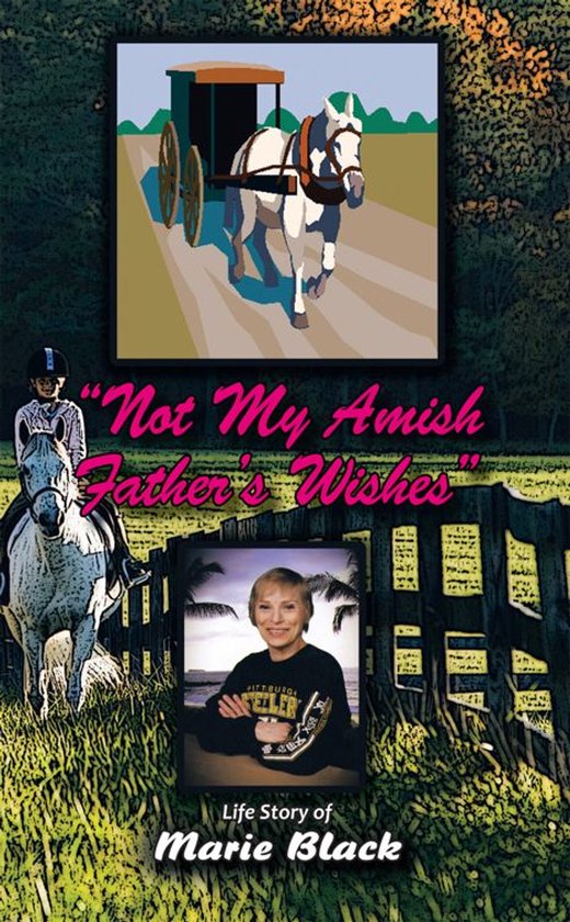 Not My Amish Father’S Wishes - cover