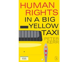 Human Rights in a Big Yellow Taxi