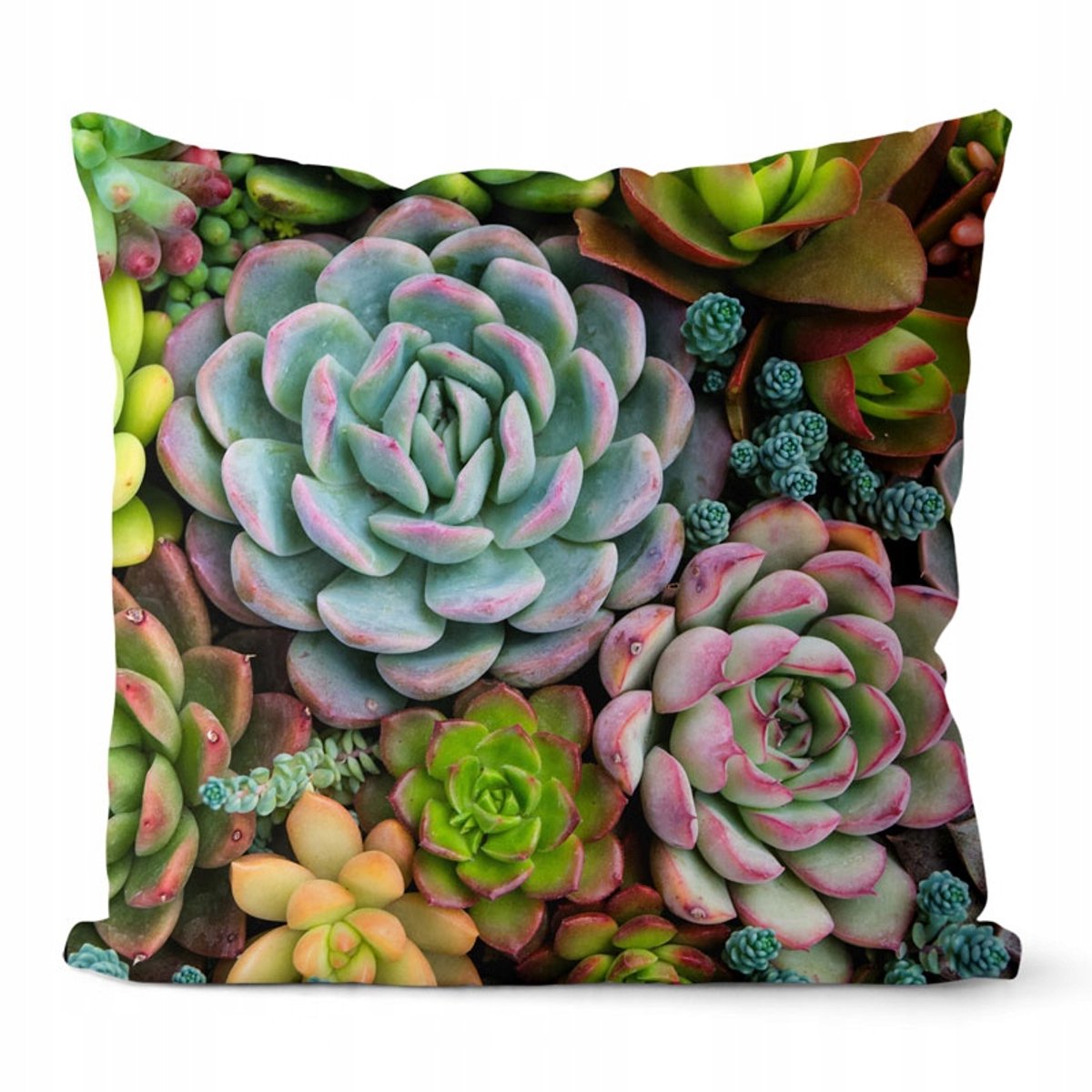 Decoratieve kussenlus JESS Suculent 43x43 cm - 100% katoen