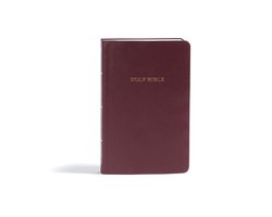 KJV Gift and Award Bible, Burgundy Imitation Leather