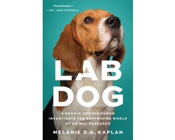 Lab Dog