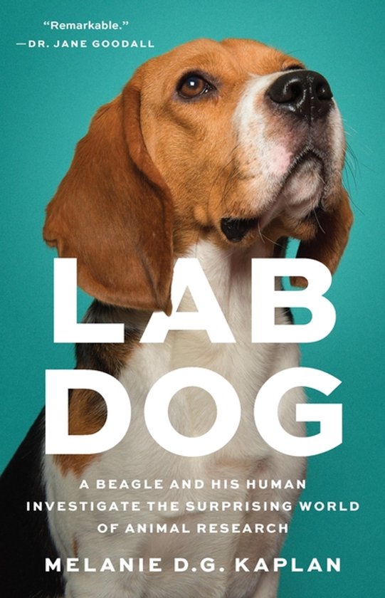 Lab Dog - cover