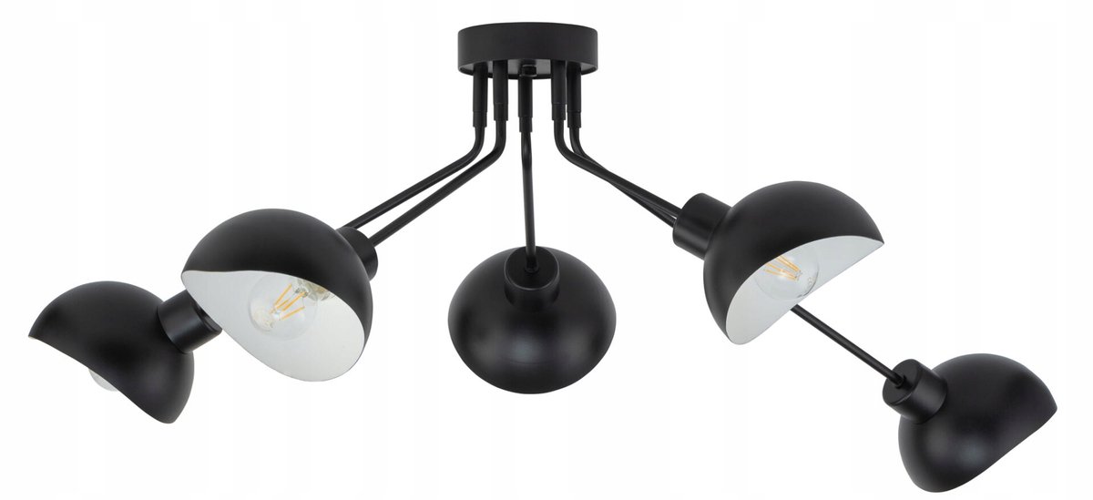 Sigma ROY 5 Plafond Lamp Zwart Wit - Stijlvol en Functioneel