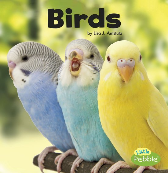 Our Pets - Birds - cover