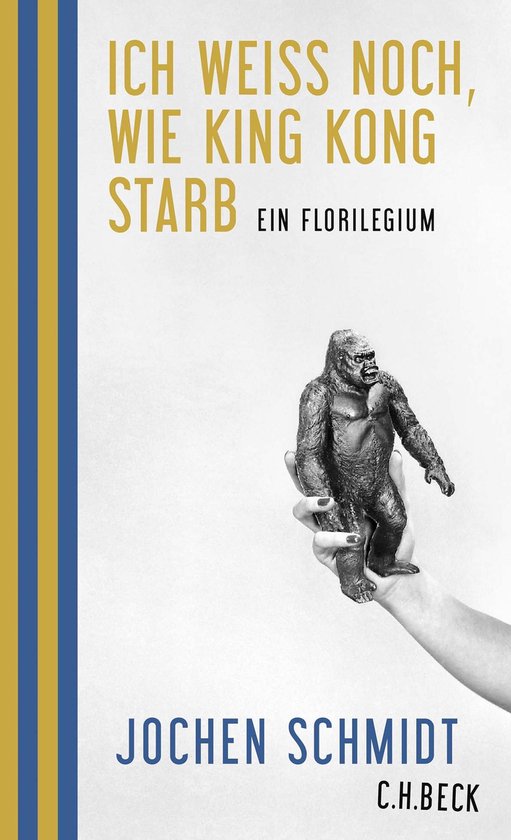 Ich weiß noch, wie King Kong starb - cover