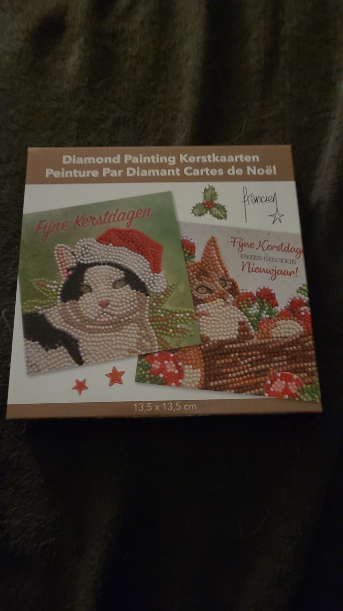 Wenskaarten set - 2x Franciens katten - kerstkaarten set - Diamond painting