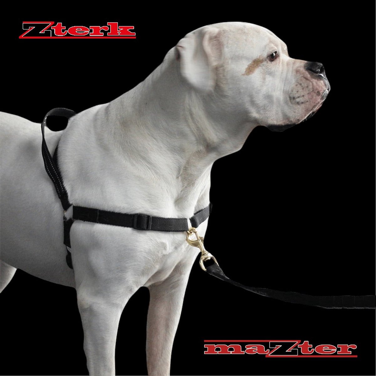 maZter Anti-Trektuig Hond