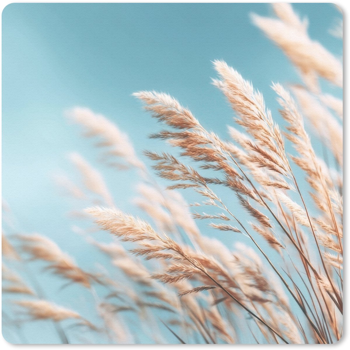 Muismat 30x30 cm - Mousepad Siergras - Wind - Lichtbruin - Muismatten