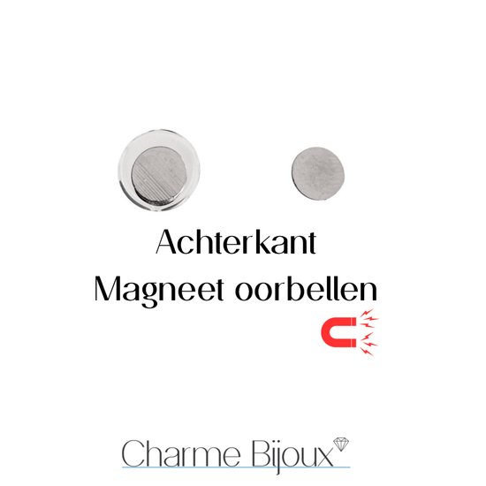Achterkant magneet oorbellen, zilverkleurig.