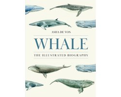 Whale