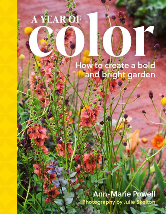 A Year of Color - cover