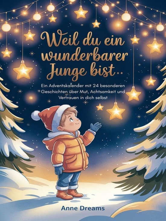 Weil du ein wunderbarer Junge bist - cover