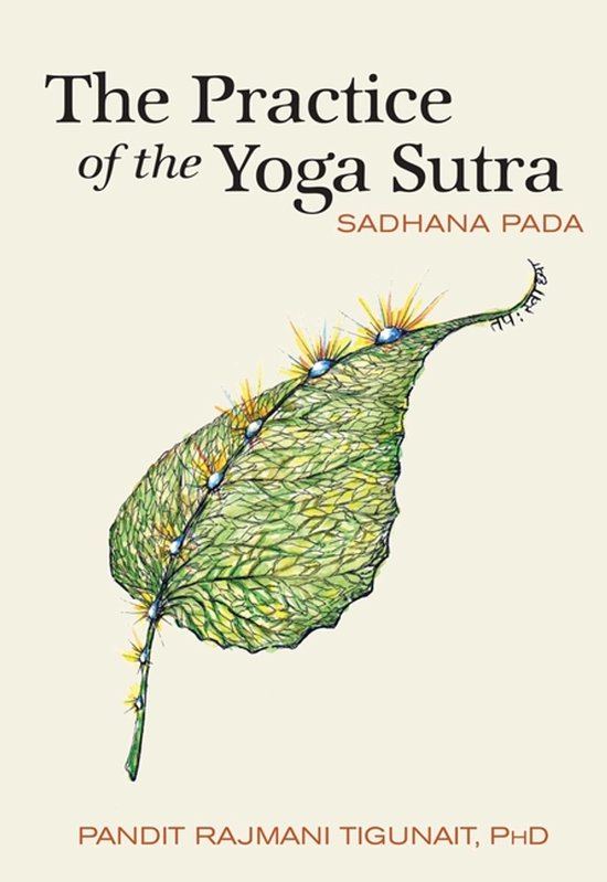 The Practice of the Yoga Sutra - cover