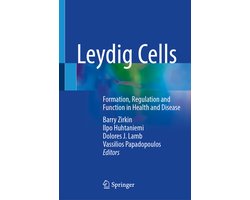 Leydig Cells