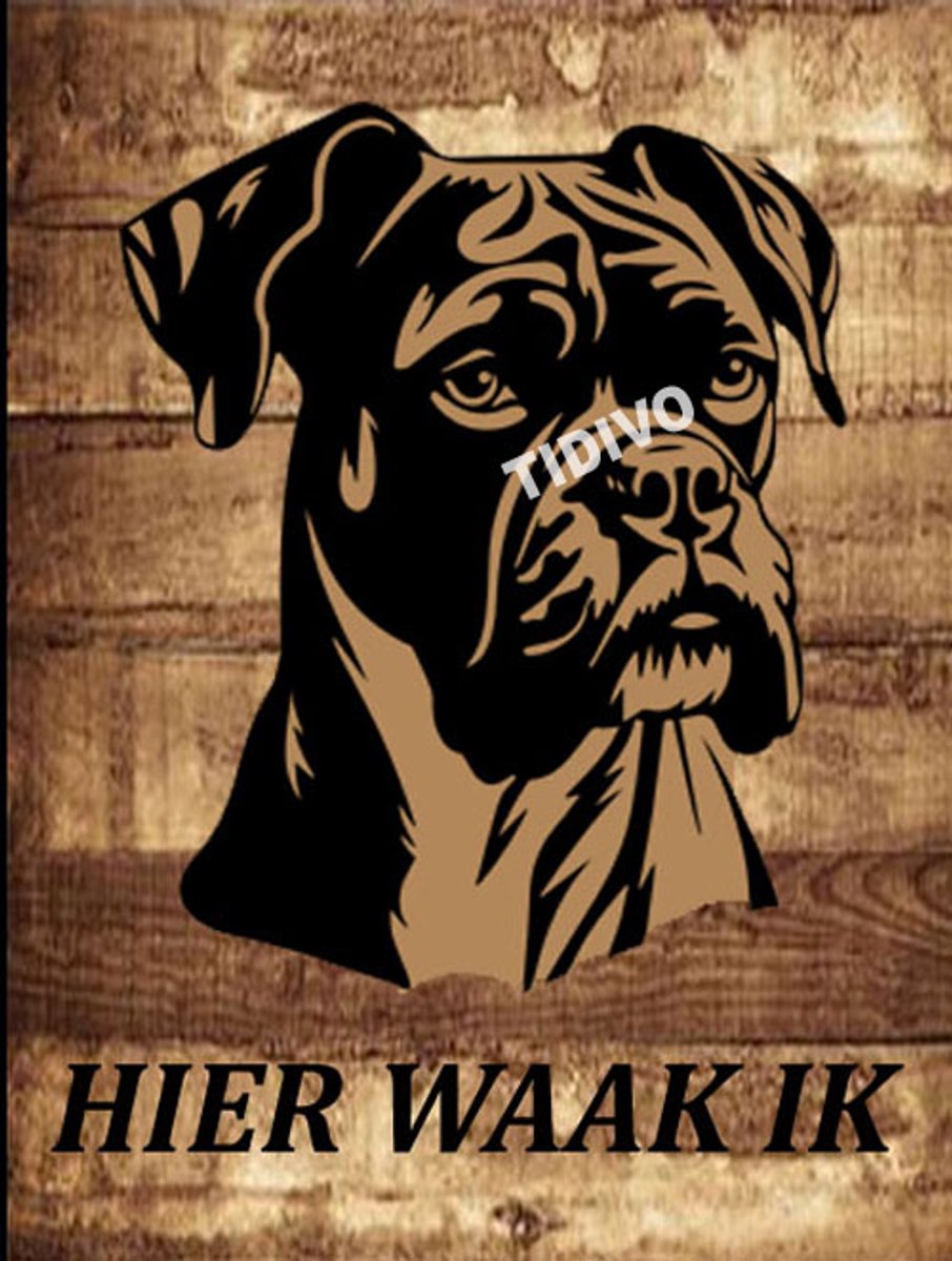 Boxer 20