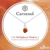 Bixorp Ruwe Carneool Ketting - S925 Zilver + Edelsteen Hanger - Onbewerkte Steen - Spirituele Chakra Ketting met Cadeau Kaartje - 45cm + 5cm verstelbaar