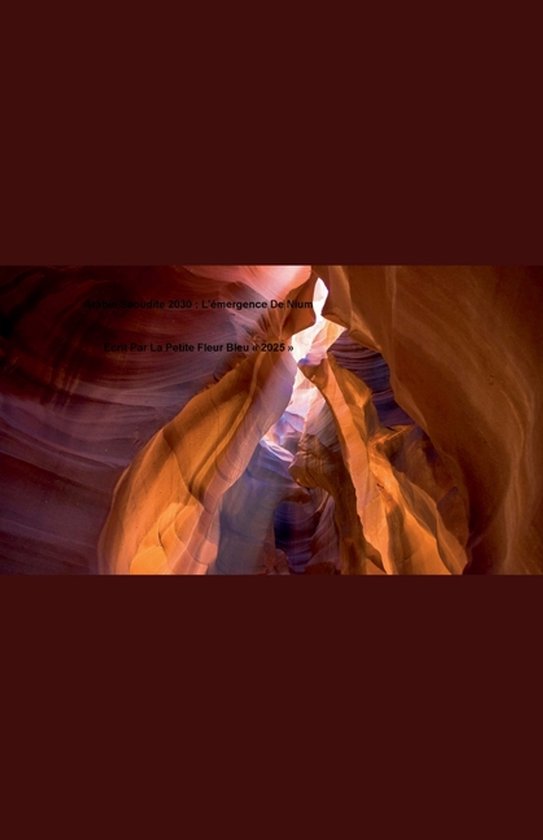 Arabie Saoudite 2030 - cover