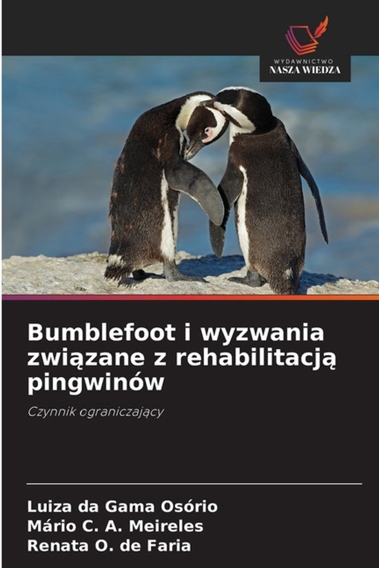 Bumblefoot i wyzwania związane z rehabilitacją pingwinów - cover