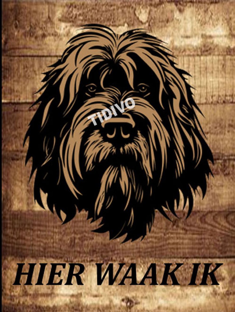 Briard 20