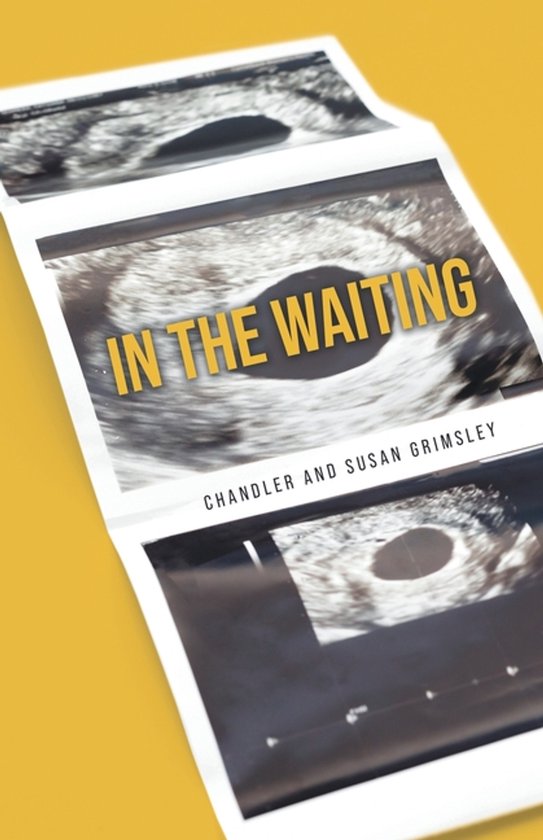 In The Waiting - cover