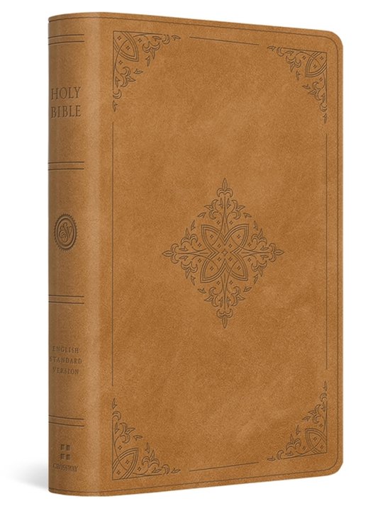 ESV Large Print Bible