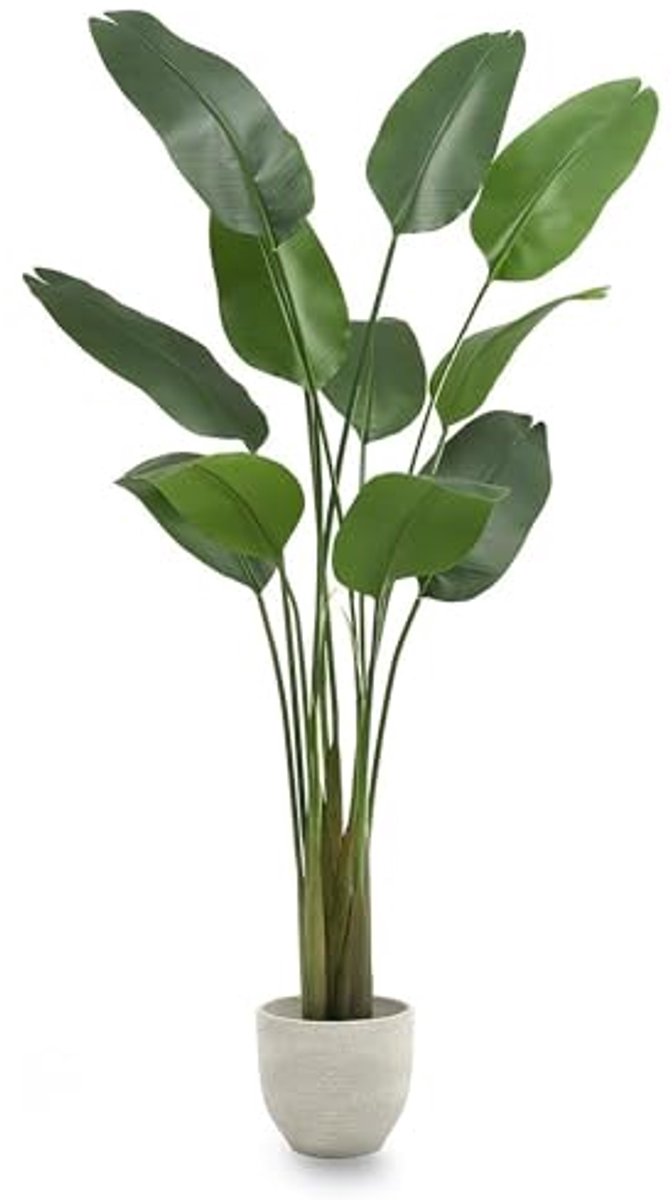 Decoratieve Kunstplanten - Paradijsvogel - Tropische Plant voor Binnen en Buiten - 210 x 115 cm