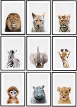 No Filter Poster - Baby Safari Dieren - 9 Posters - 20x30cm