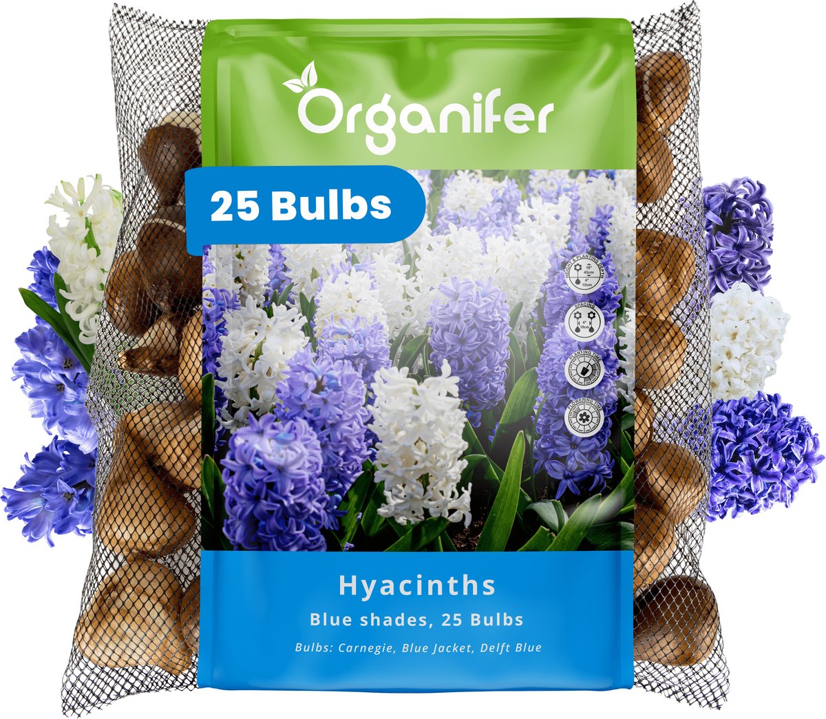 25 Hyacinten - Blauwe Tinten - XXL Bollengrootte 16/17 cm - Bloembollen - Hyacint - Zomerbollen - Voorjaarsbollen - Trekt vlinders en bijen aan - Vaste planten - Organifer