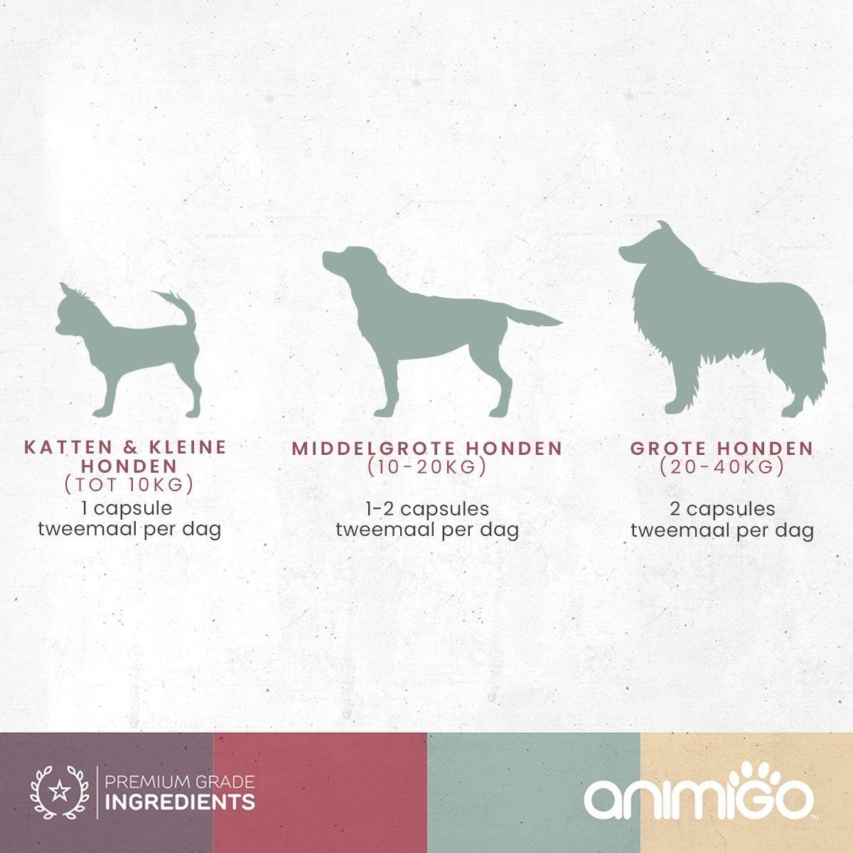 Disciplinair zweer motto Animigo Glucosamine en Chondroïtine voor Honden en Katten - 90 Capsules |  bol.com
