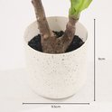 Detail van de pot van de kunstplant Dracaena Lemon Lime, 9cm hoog, 9.5cm breed.