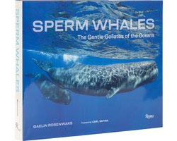 Sperm Whales