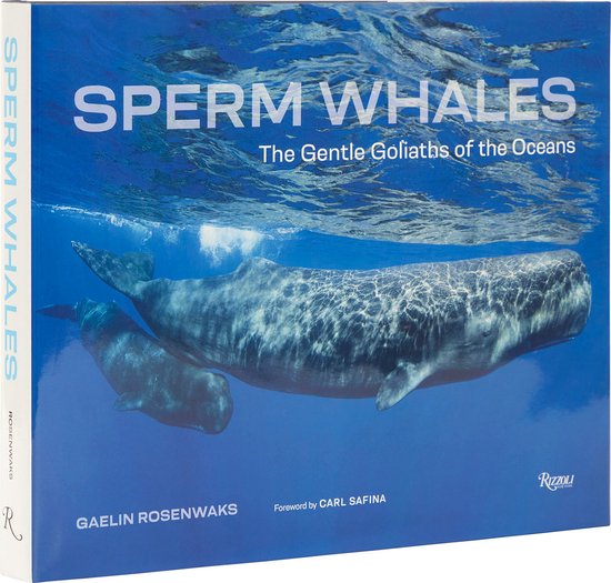 Sperm Whales - cover