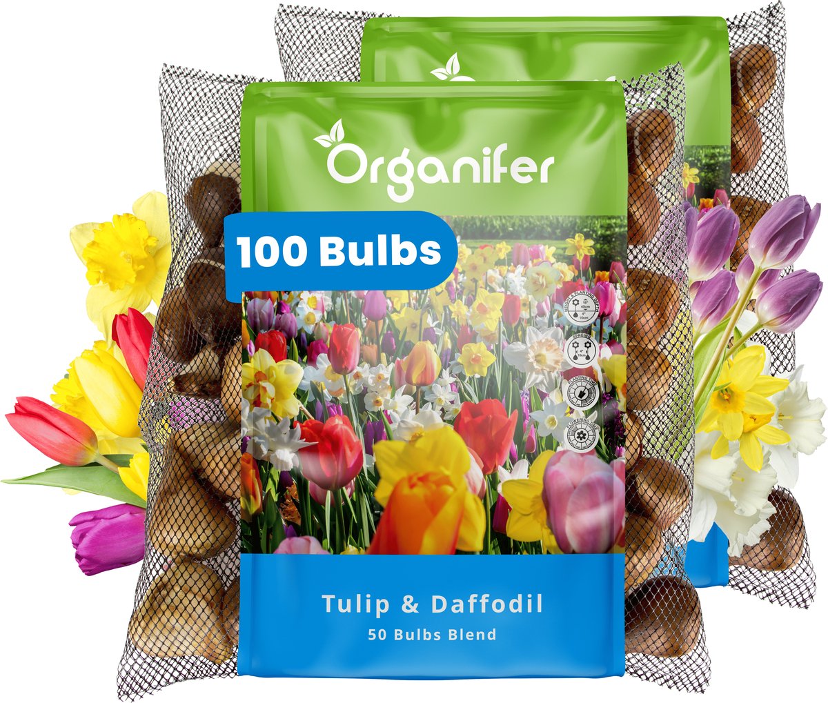 100 Tulpen- en Narcissen Mix - 8 Soorten - XXL Bolmaat 12/14 cm/+ - Bloembollen - Narcissen - Kleurenmix - Zomerbollen - Voorjaarsbollen - Trekt vlinders en bijen aan - Vaste planten - Organifer