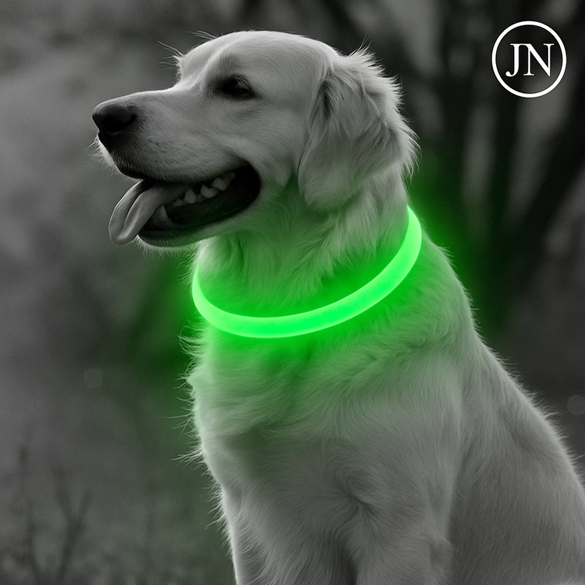 LED Halsband Hond – USB Oplaadbaar – 50 cm – Groen – Lichtgevend – Veilig in het Donker – Verstelbaar