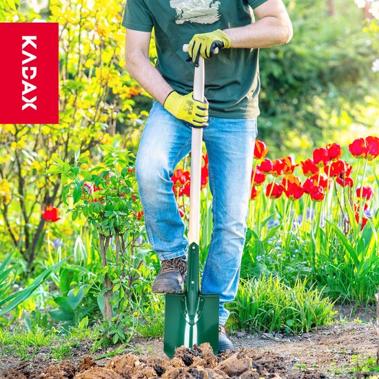 KADAX Spade, tuinspade om te graven, tuinschep met houten steel, schep, grafschep, grafschep voor tuin, harde, steenachtige bodems, plantenspaden, tuinspade van metaal (punt, T-greep) van Merkloos	 — afbeelding 4