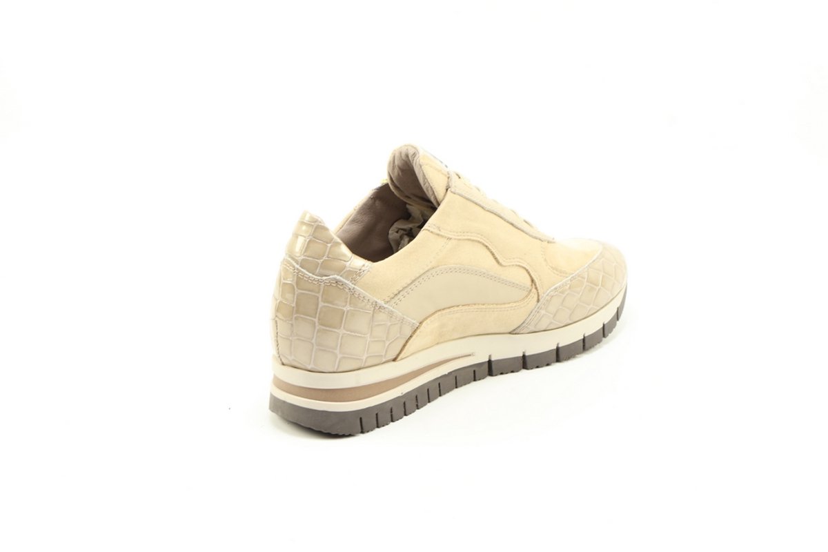 DLSport 6725 versione 0c