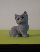 Kat grijs