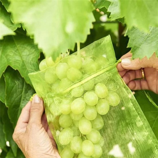 Rekx® - Manchon à fruits avec cordon de serrage 20 x 30 cm - lot de 25