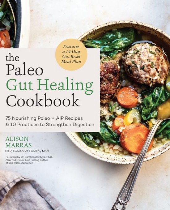 The Paleo Gut Healing Cookbook - cover