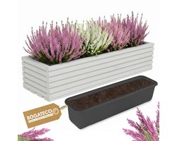 BOGATECO Houten Bloembak 64x20 cm met Binnenpot, Tuinbak, Balkonbak, Terrasbak, Bloempot met Inzet, Kruidenpot voor Thuis, Lichtgrijs