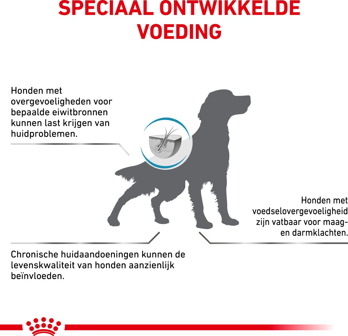 Royal Canin Veterinary Diet Dog Hypoallergenic - Hondenvoer - 14 kg thumbnail 4