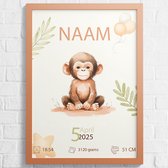 Affiche Bébé / naissance - Singe - Personnalisée avec naam et détails de naissance - 43 x 61 cm - Affiches Bébé